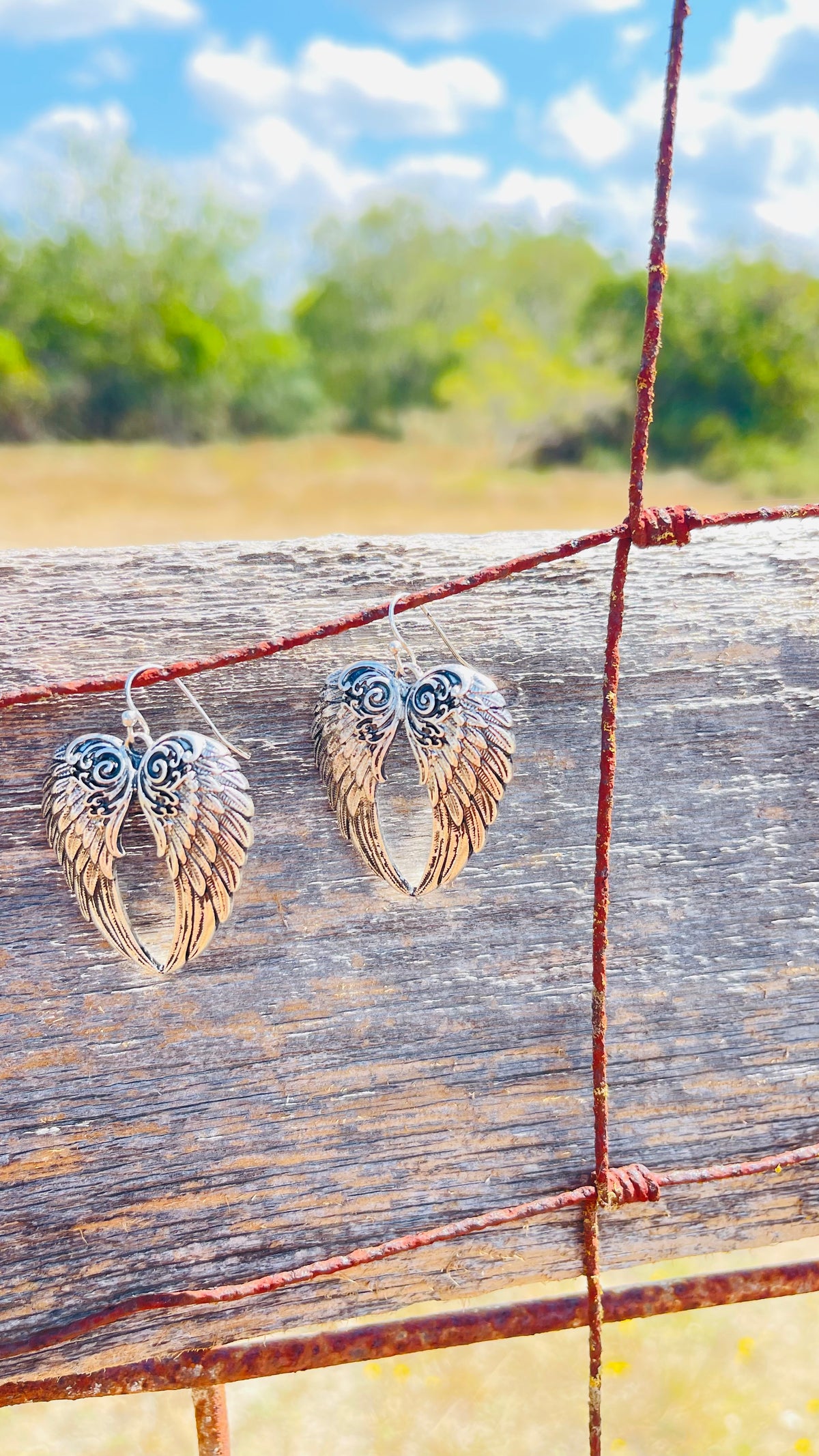 Silver Angel Wings
