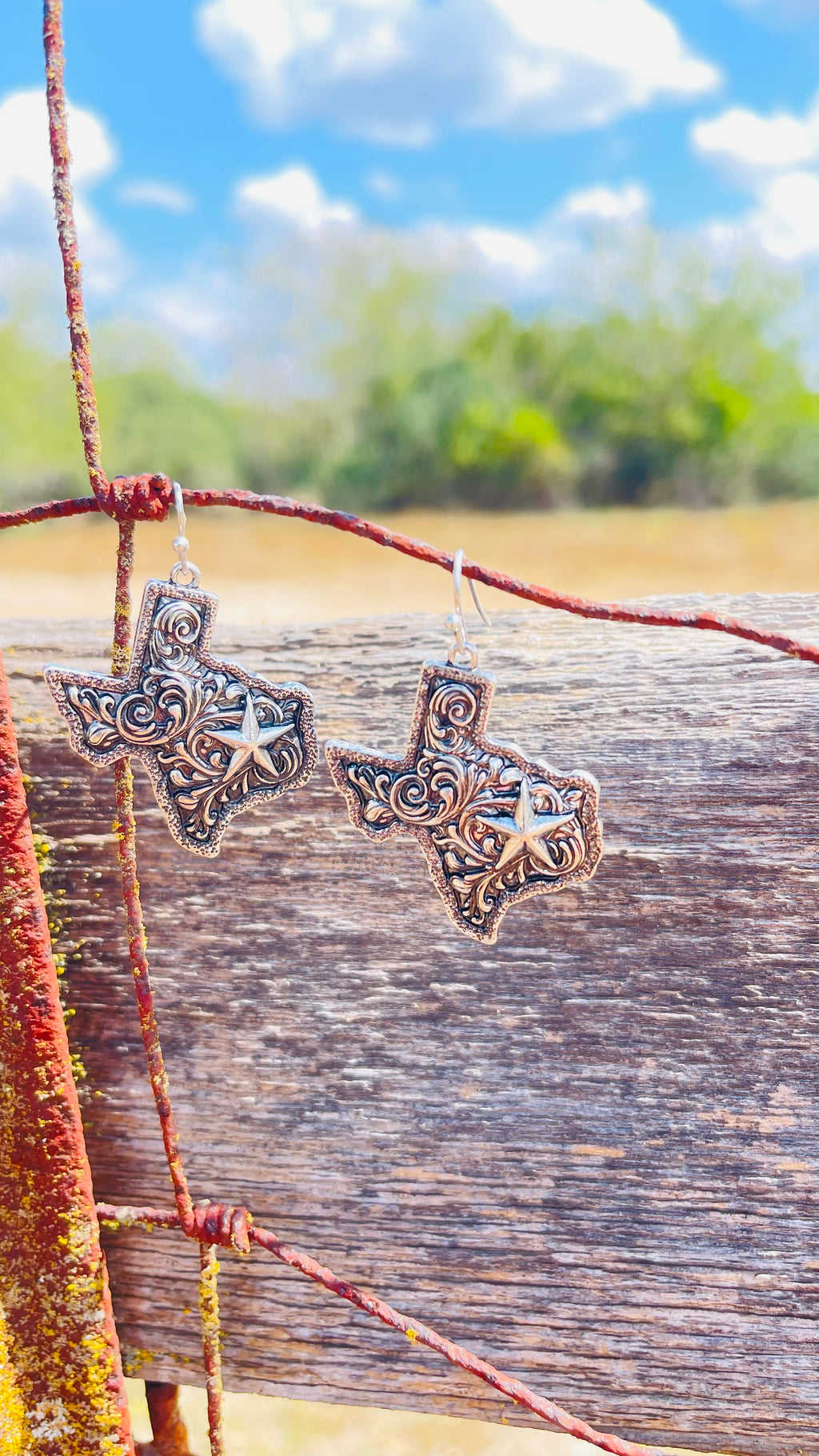 Texas Map Necklace Set