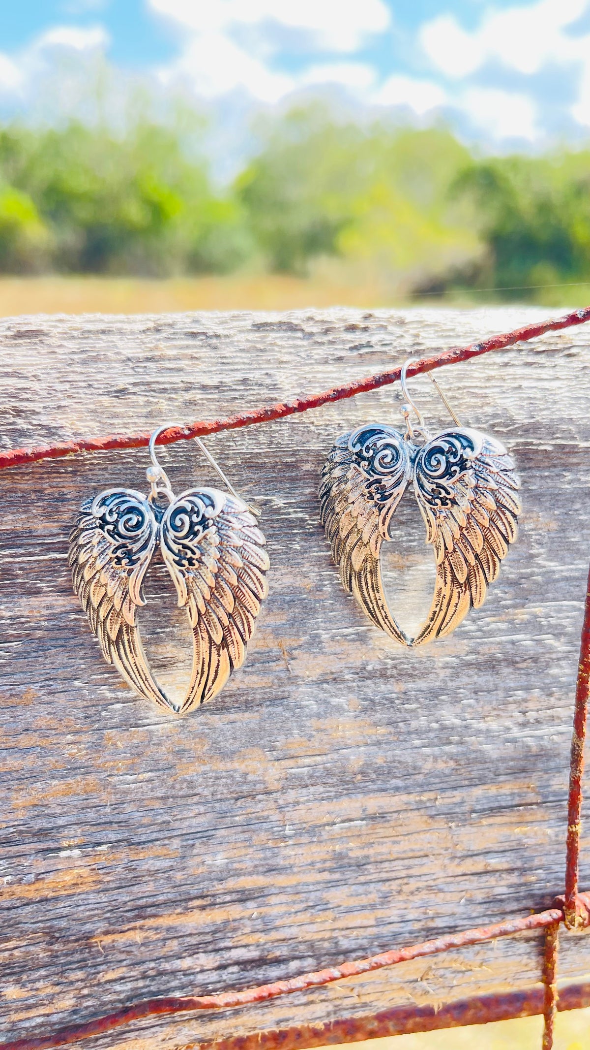 Silver Angel Wings